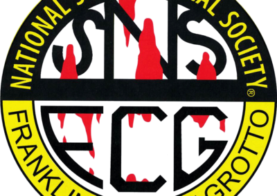 FCG - NSS