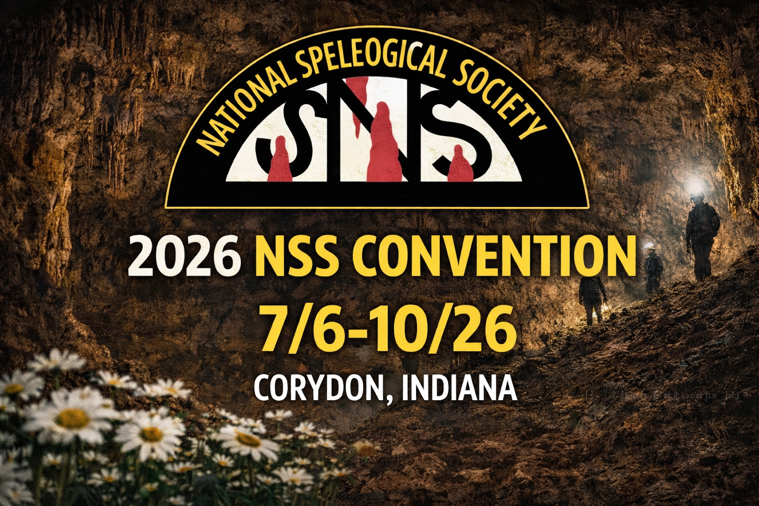 NSS Convention